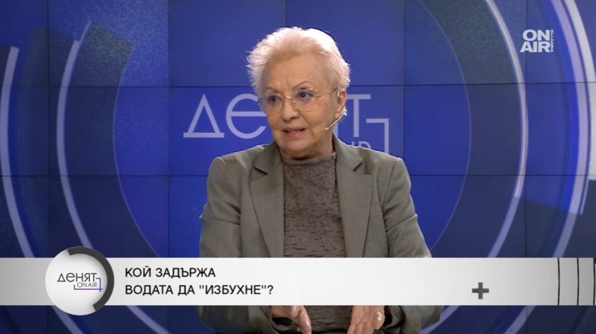 PR експерт: За цената на тока и водата са виновни всички управления