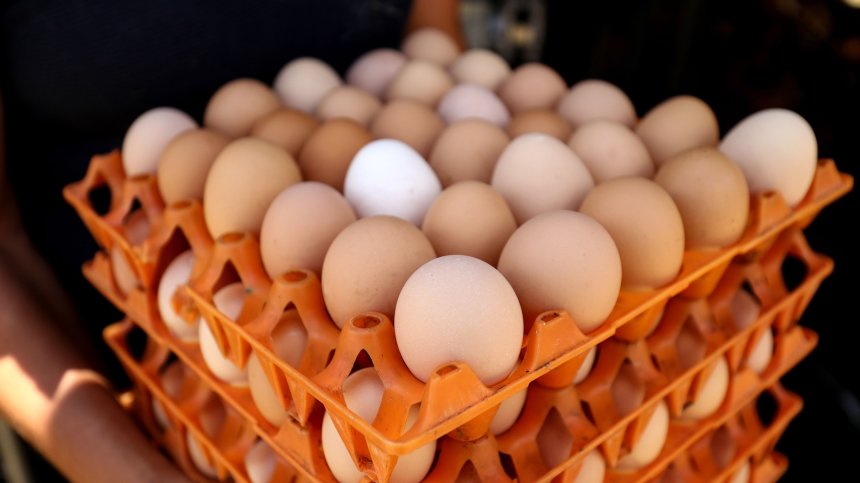 Птицевъд: Освобождаването на кокошките от клетките ще оскъпи яйцата, ще се наложи внос