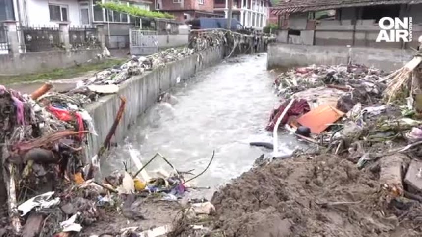 Наводнени къщи, удавени животни и разрушена инфраструктура в Берковица