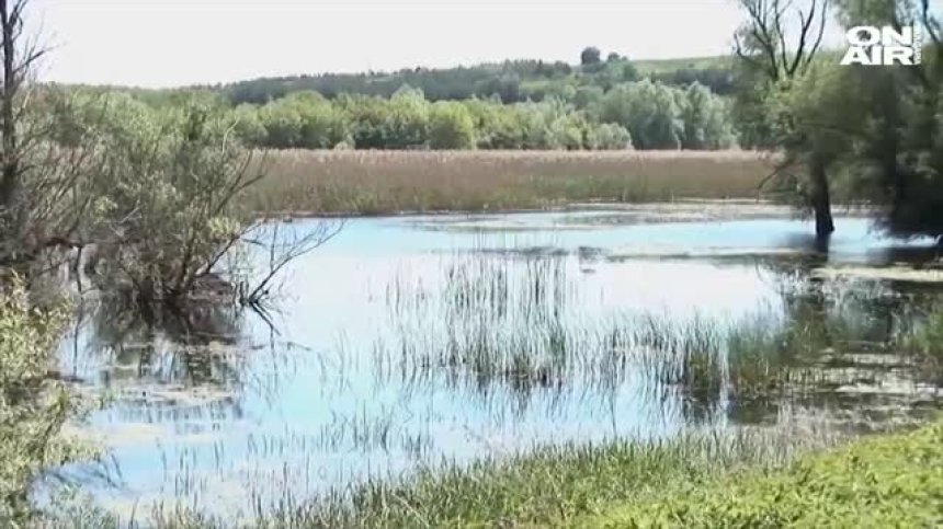 Пречиствателната станция в Сребърна се руши, отходните води се вливат в септични ями