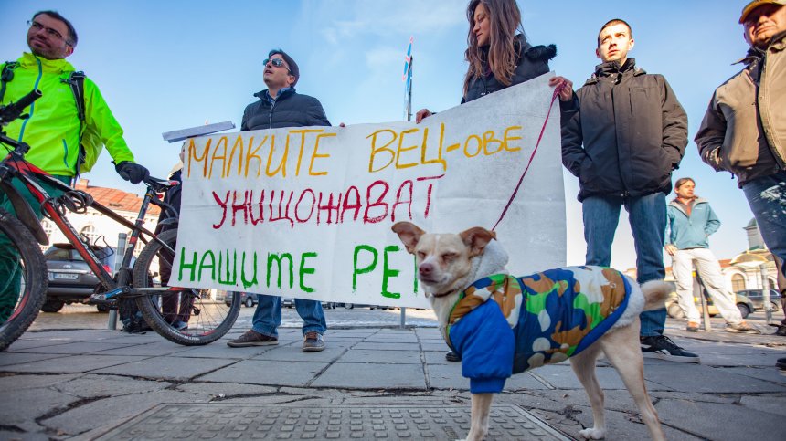 Природозащитници на протест срещу проекта за нови ВЕЦ-ове