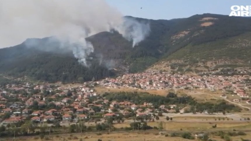 Версия: Гората над Твърдица пламнала заради незаконно ромско сметище