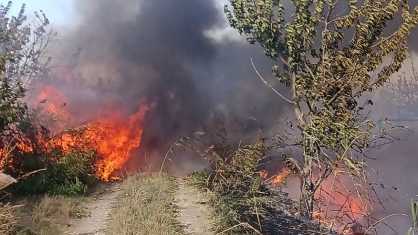 Огромен пожар край Пловдив, силният вятър събори дървета