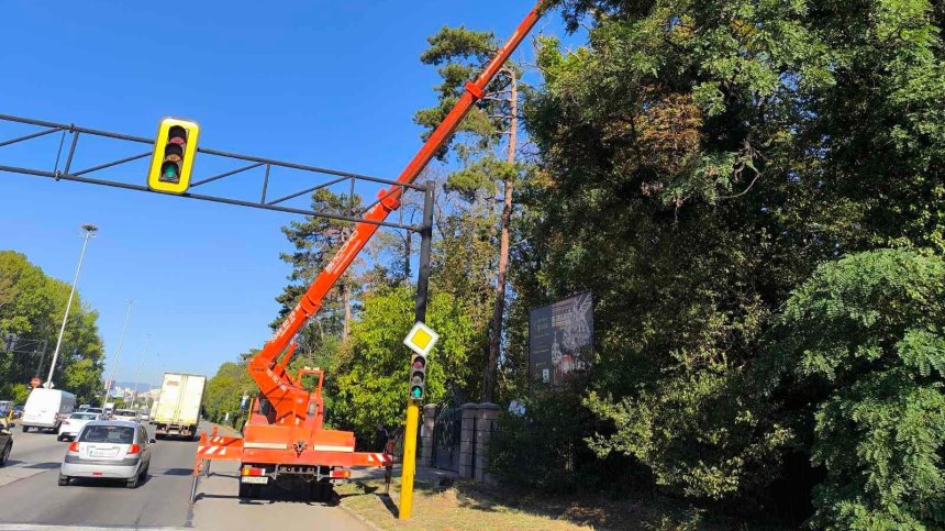 Премахват опасните дървета от парк "Врана"