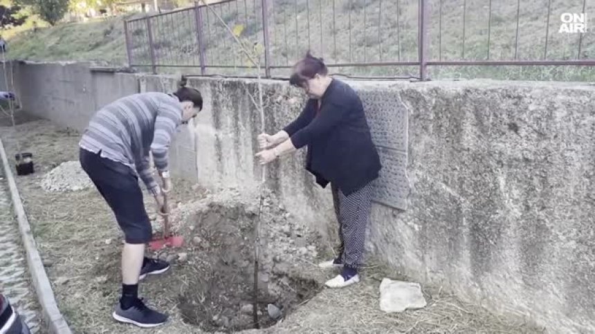 Старозагорци стартираха кампания по залесяване на липи и почистване на града
