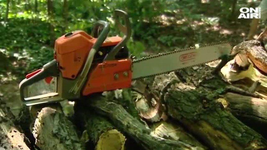 Рокадите продължават: Отстраниха началници на горски предприятия в няколко града