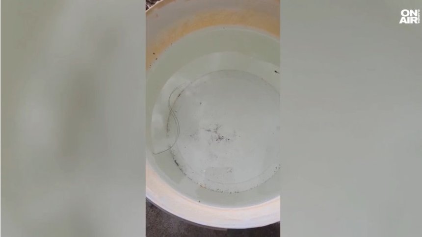 Конски косъм в питейната вода стресна жителите на село Джулюница