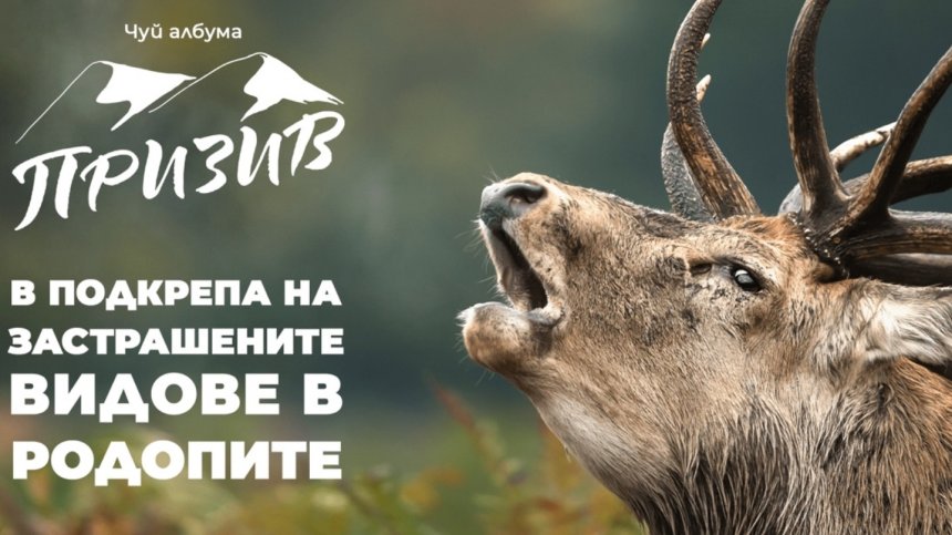 Призив от природата: Редица животински видове в Родопите са пред изчезване