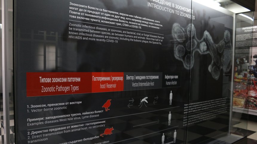 Виртуални посещения в БАН по време на Европейската нощ на учените