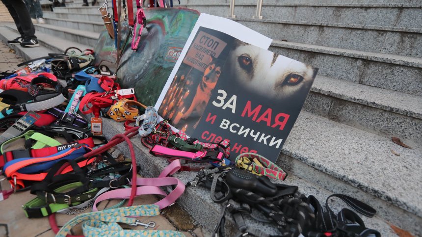 "Животните не са предмети": Протестиращи в София не искат повече жертви като кучето Мая