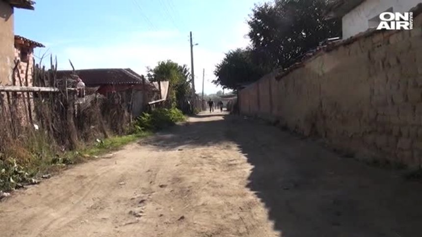 Роми, хванати с каруци незаконна сеч пребиха 3 горски служители