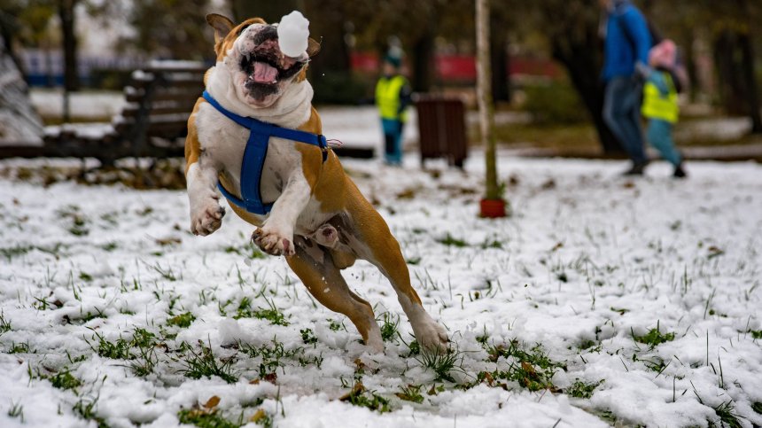 В 23 области вали сняг, затвориха пътища за леки коли