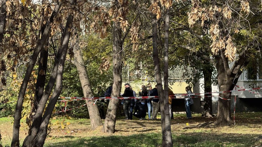 Доживотна присъда за задържания за убийството в "Младост"?