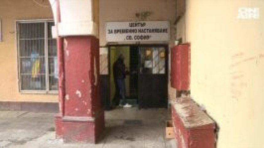 Приютите за бездомни се пълнят при минусовите температури