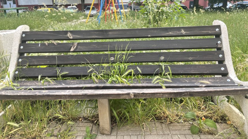 Детска площадка в София: Избуяла трева, пясъчникът е тоалетна за животни