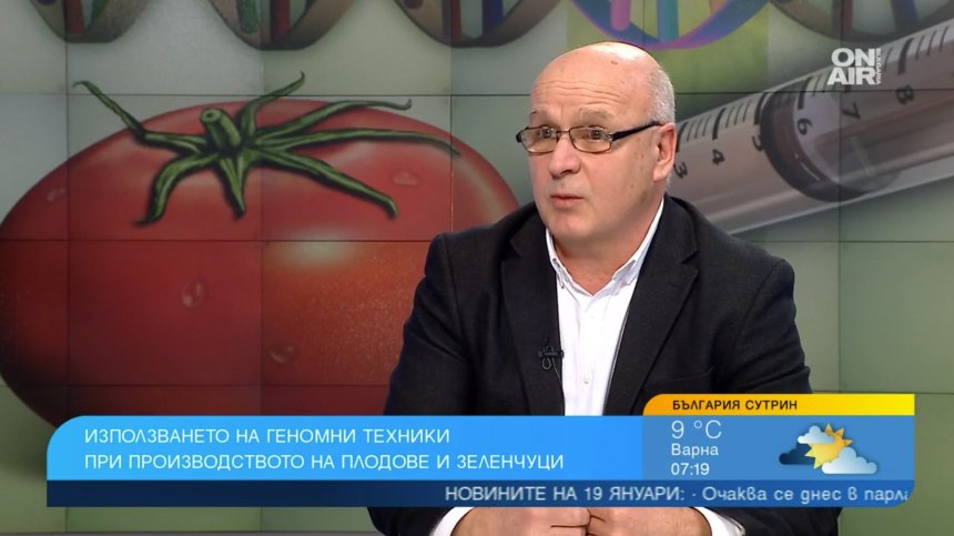 Експерт: В България е по-лесно отглеждането на канабис, отколкото на ГМО растения