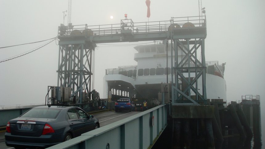 Поне 30 жертви на опустошителните пожари в САЩ