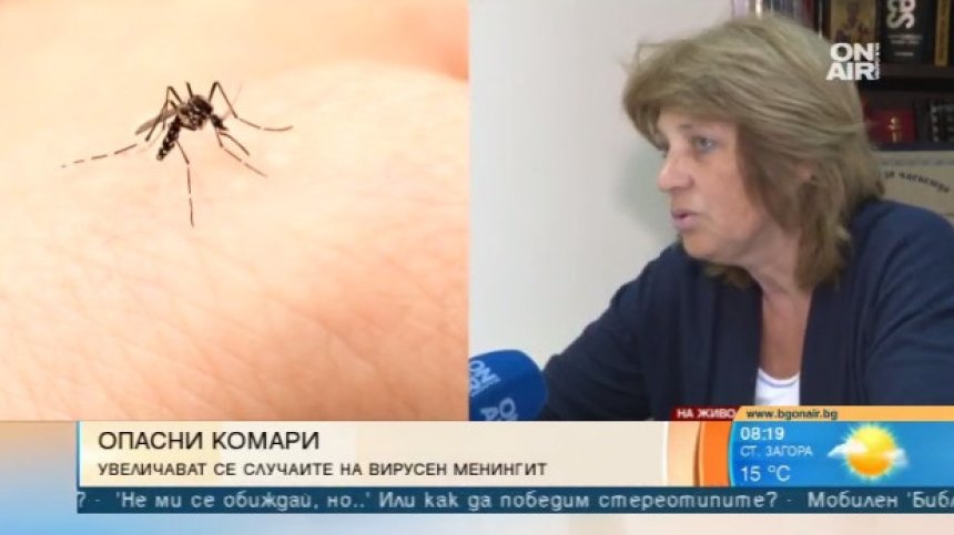 Опасни комари разнасят вирусен менингит&nbsp;