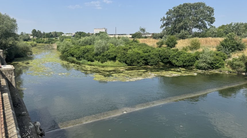 Кметът на Ямбол със сигнал до МОСВ: Мъртва риба и тревожно ниски нива на Тунджа