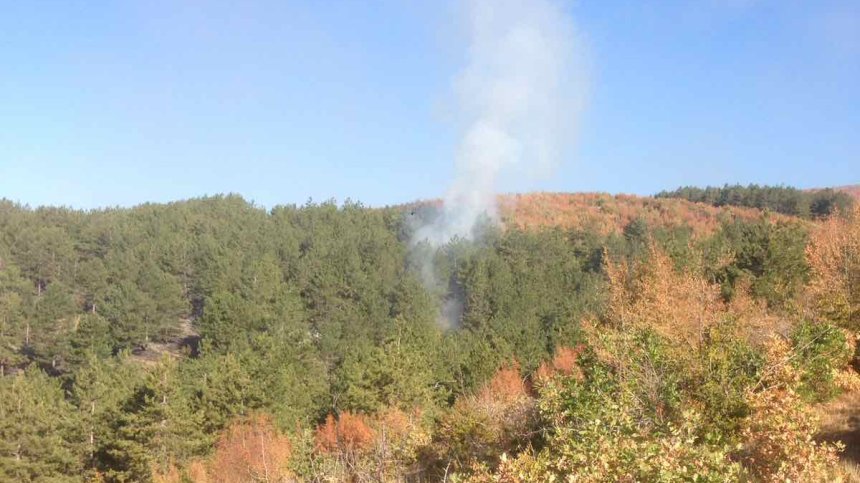 Пастир призна: Пожарът в Сливенско пламнал от хвърлена цигара