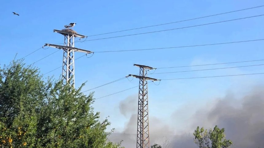 Пожарът край Бобошево е овладян