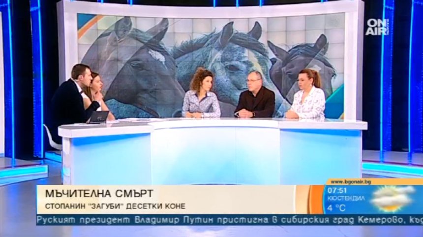 Прокуратурата се заема с жестокия случай на измрелите от глад коне