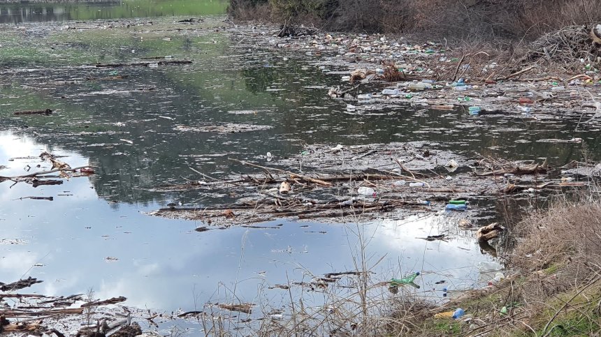 Прокуратурата разследва причината за тонове мъртва риба в язовир край Аксаково