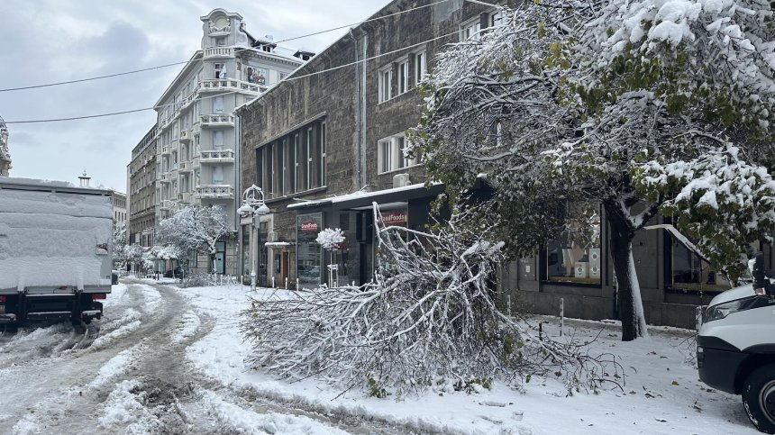 София осъмна с множество сигнали за паднали дървета и райони без ток