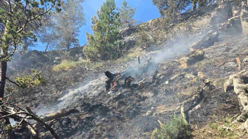 Потушават вътрешните огнища на пожара в Пирин, засега без летателна техника