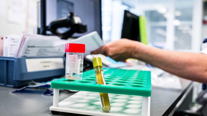 1029 работници са заразени с Ковид-19 в германска кланица, сред тях и българи