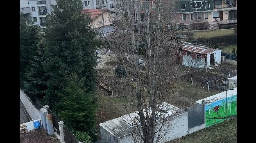 Сигнал: Денонощно лаещи кучета в "Кръстова вада", не можем да спим