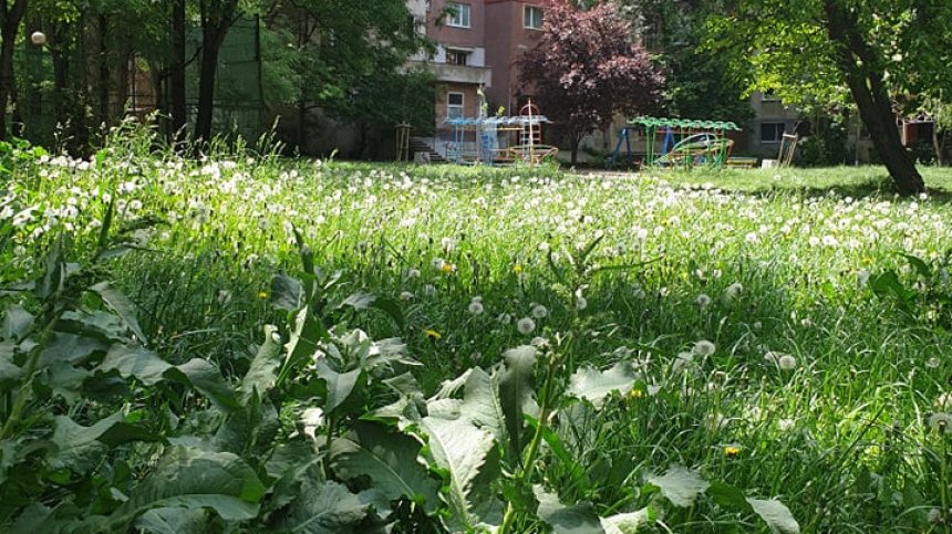 Спортни игрища, детски площадки - занемарени, потънали в трева