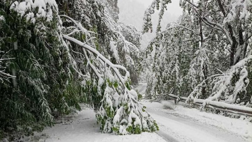Петрохан остава затворен, спряха ТИР-овете по "Хемус" и "Тракия"