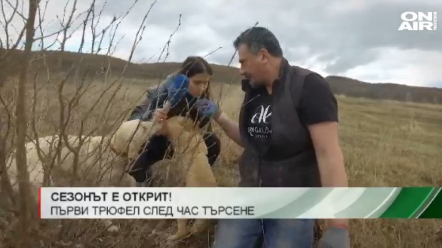 Трюфели и черешова ракия - рецептата за щастлив брак между Кейси и Ангел