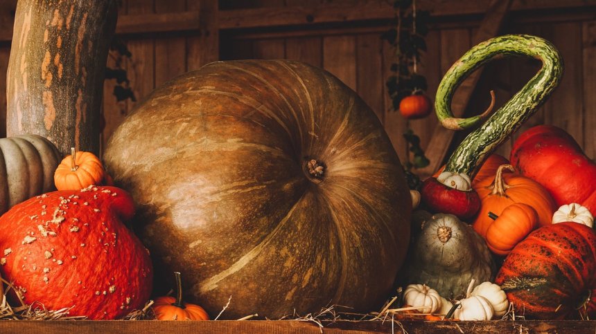 Суперхрани за имунитет през есента