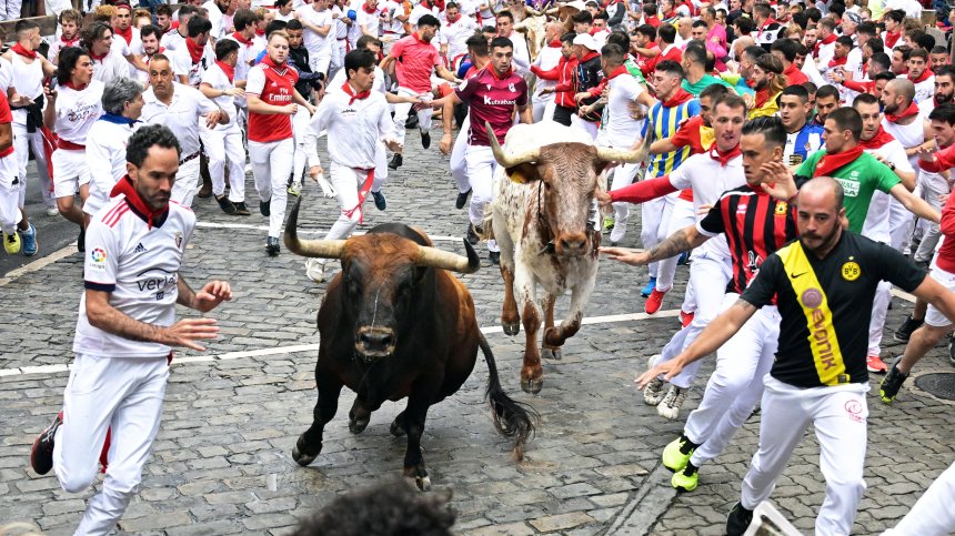 Започна надбягването с бикове по улиците на испанския град Памплона (+ВИДЕО)