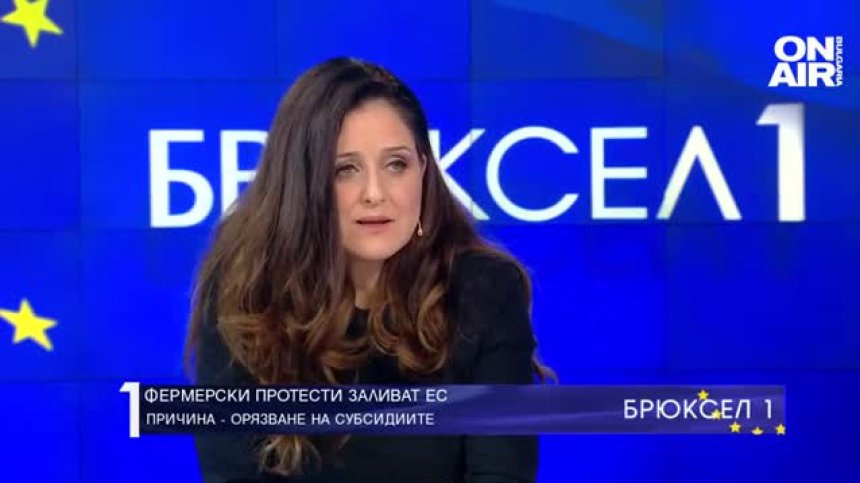 Светлана Боянова, БАК: Компенсациите в бюджета по украинска помощ са нула 