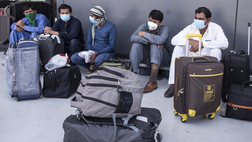 На летището в Дубай използват кучета срещу Ковид-19