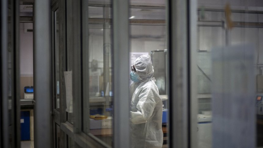 СЗО: Маймунската шарка все още не е глобална спешна ситуация