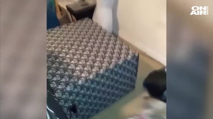 Кой се крие в кутията?