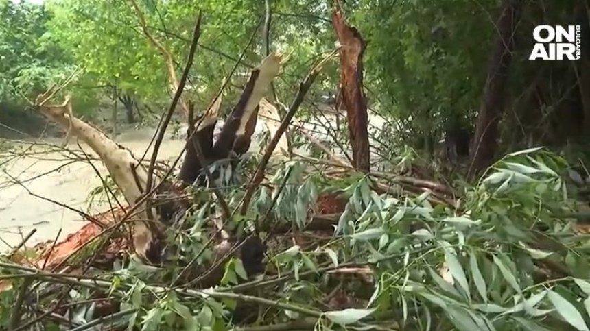 "Цялата къща беше под вода": Разказват пострадалите от наводнението в Елешница