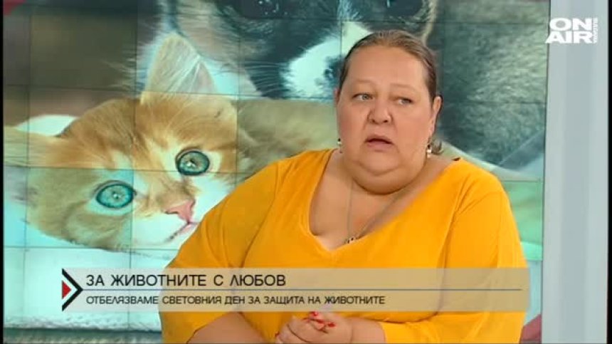 За животните с любов