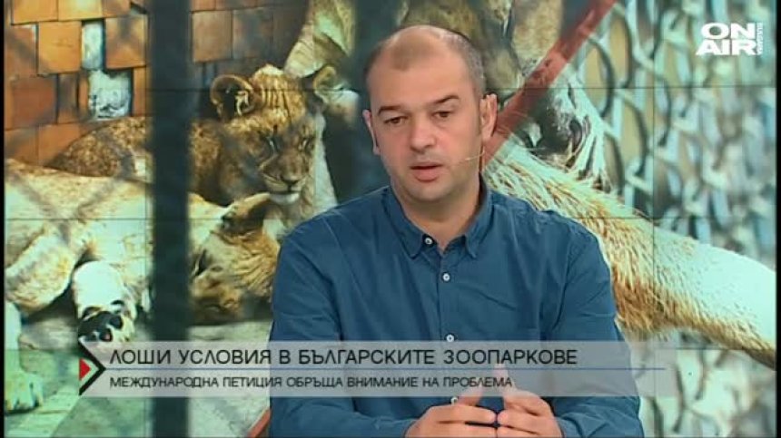 Международна петиция срещу лошите условия в българските зоопаркове