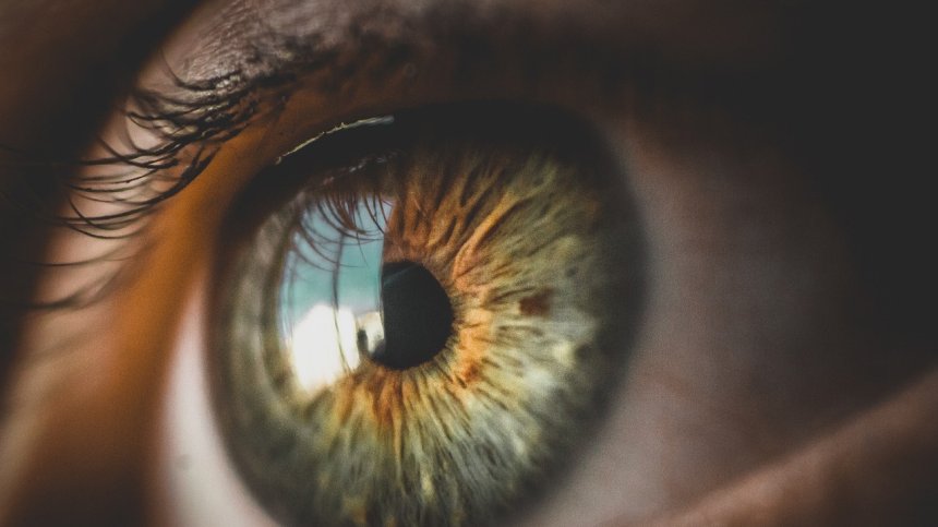 Доказано: Възрастта променя възприятието ни за цветовете