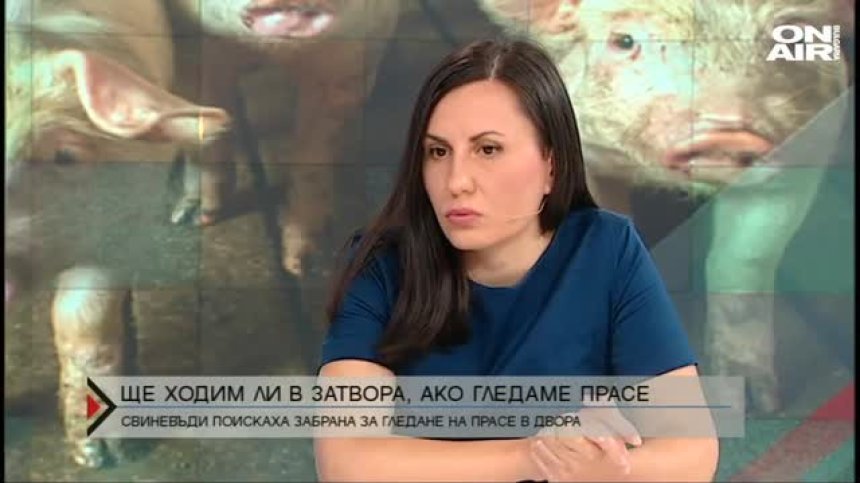 Ще ходим ли в затвора, ако гледаме прасе?