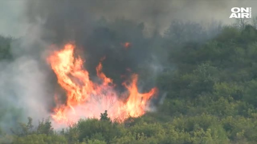 Потушиха пожара край Изворище и Банево