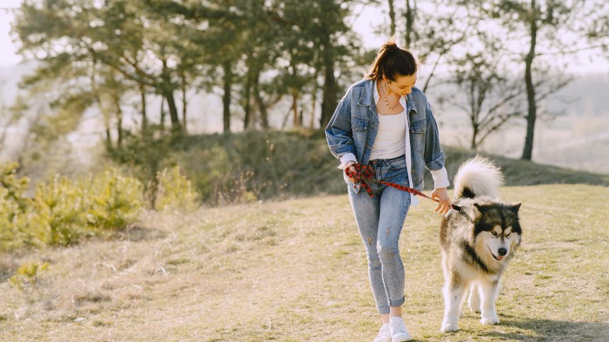 Столичната община засили контрола над собствениците на домашни кучета