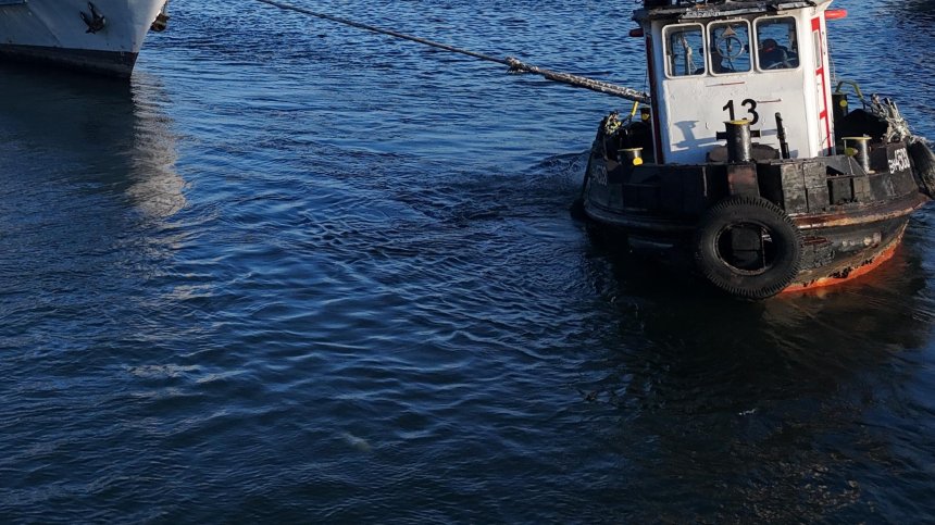 Дунав защитава Черно море край България от замърсяване заради войната