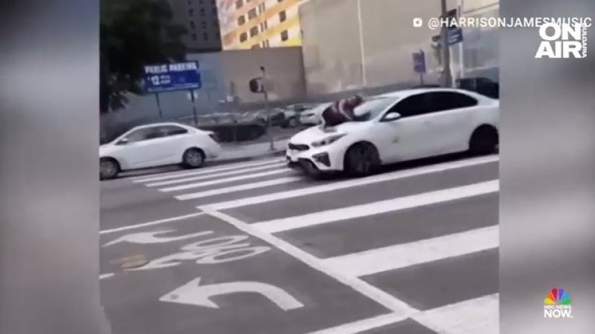 Жена се хвърли върху движеща се кола, за да спаси откраднатото си куче (+ВИДЕО)