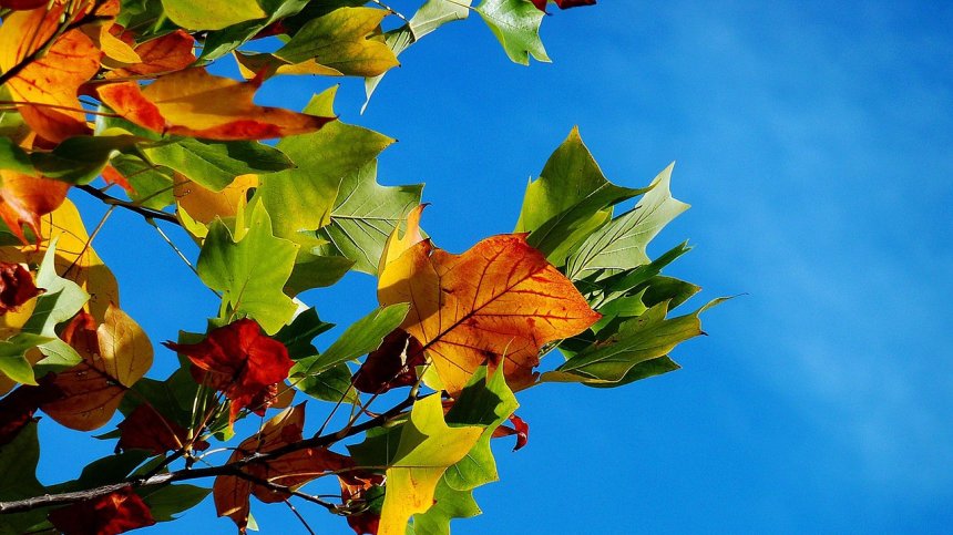 И днес ще бъде много топло, от четвъртък ще прониква по-хладен въздух